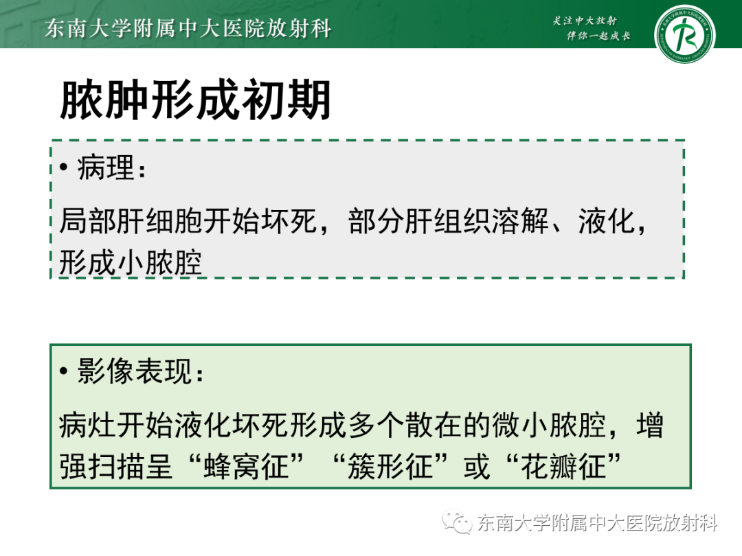 影像PPT - 【PPT】细菌性肝脓肿-7