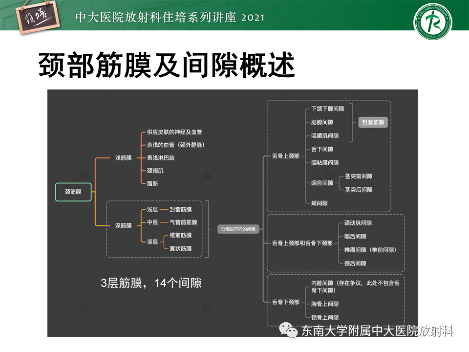 影像PPT - 【PPT】颈部感染的影像诊断及蔓延途径-8