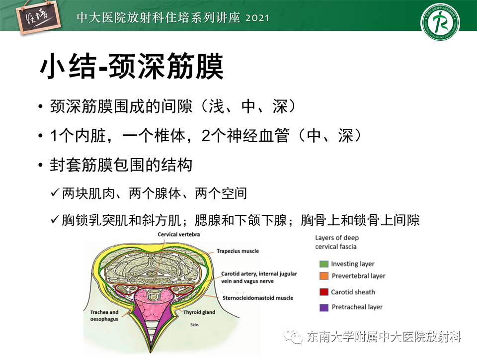 影像PPT - 【PPT】颈部感染的影像诊断及蔓延途径-16