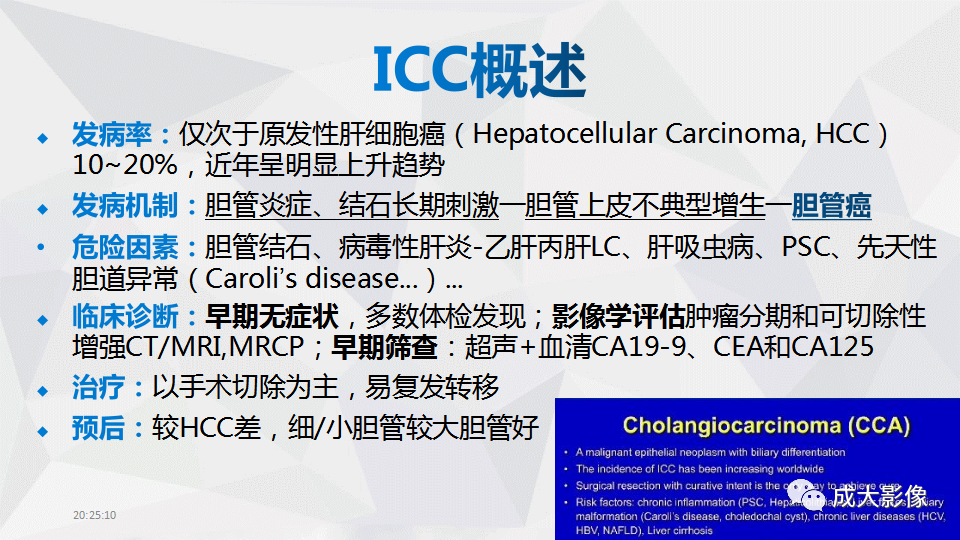 影像PPT - 【PPT】肿块型肝内胆管细胞癌影像学-3