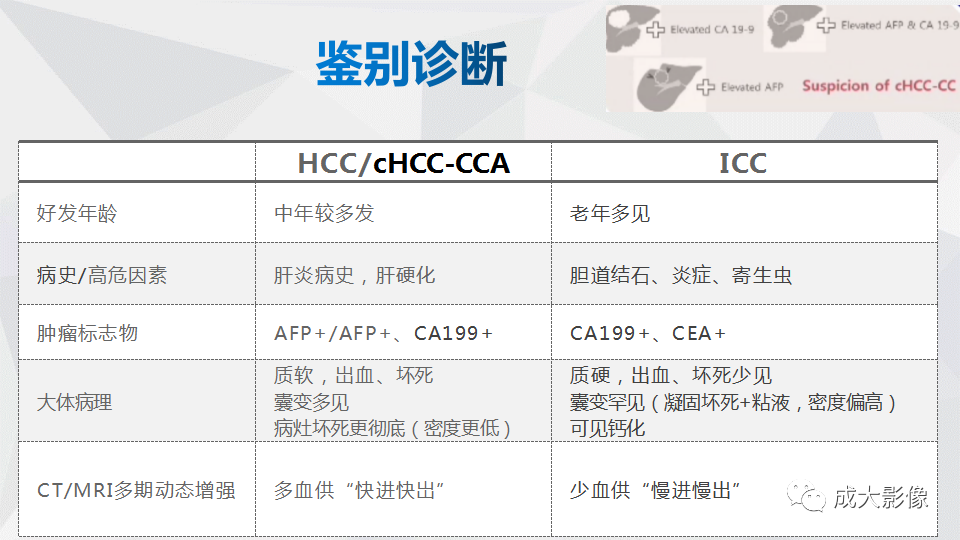 影像PPT - 【PPT】肿块型肝内胆管细胞癌影像学-28