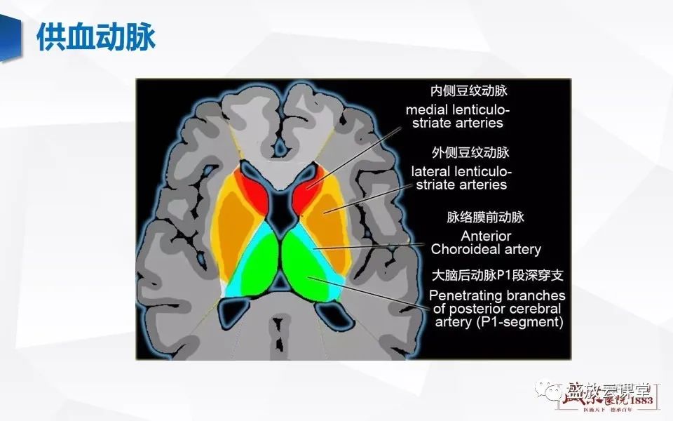 影像PPT - 【PPT】DWI在脑卒中诊断中的作用-8