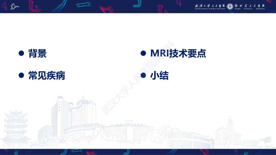 影像PPT - 【PPT】腕关节疼痛MRI评估-2