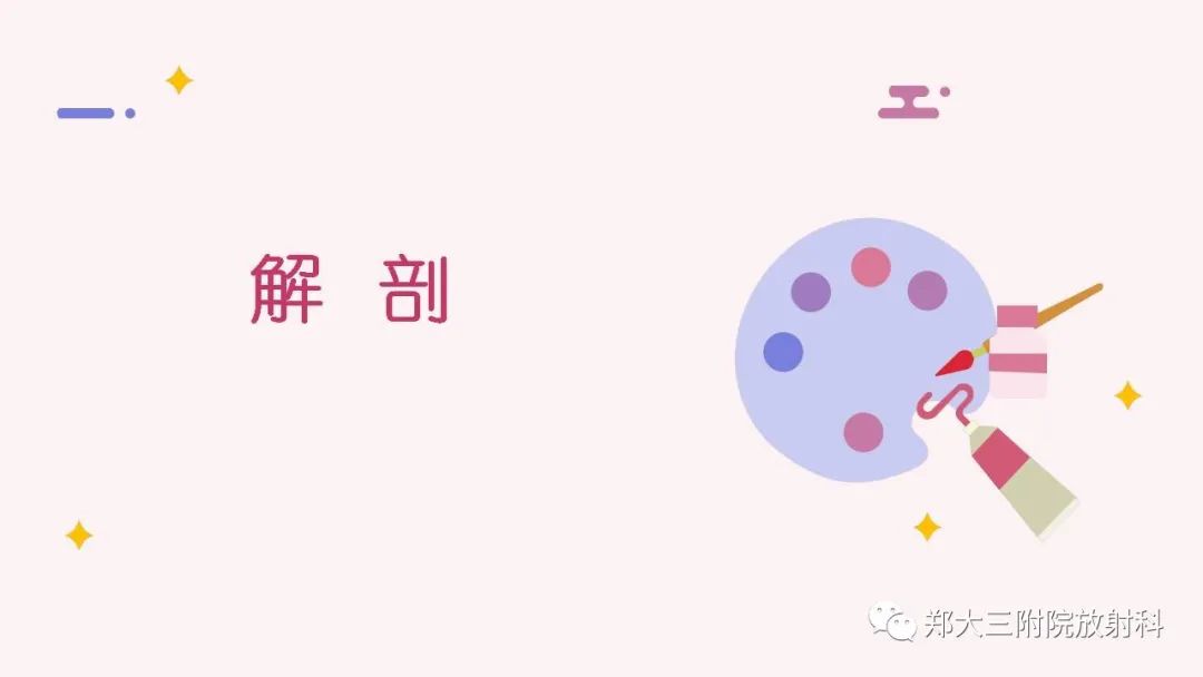 影像PPT - 【PPT】颞下颌关节紊乱的影像学表现-3