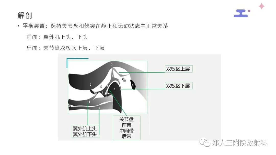 影像PPT - 【PPT】颞下颌关节紊乱的影像学表现-15