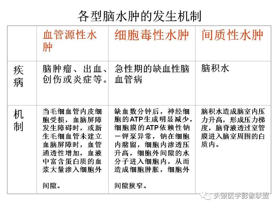 影像PPT - 【PPT】颅脑解剖及血管性病变的MRI诊断-22