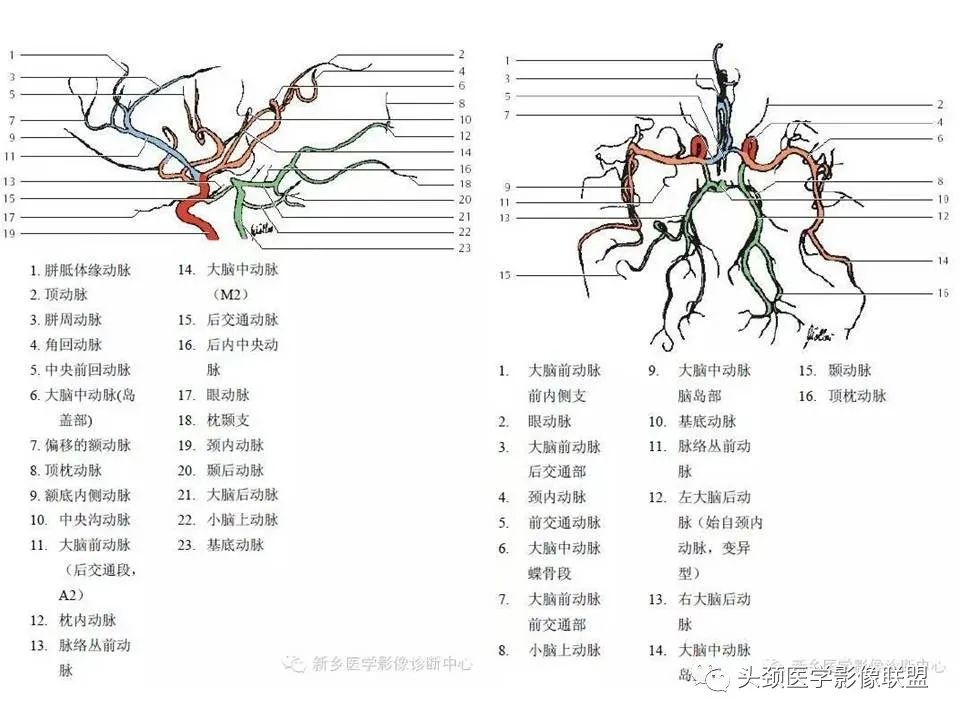 影像PPT - 【PPT】颅脑解剖及血管性病变的MRI诊断-197