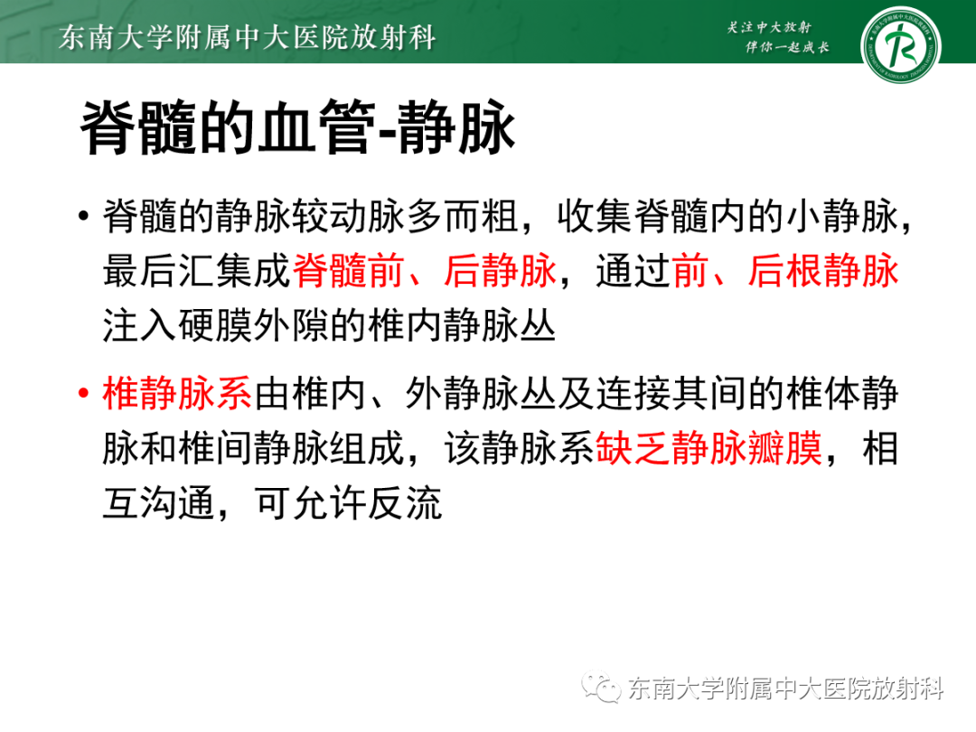 影像PPT - 【PPT】硬脊膜动静脉瘘-10