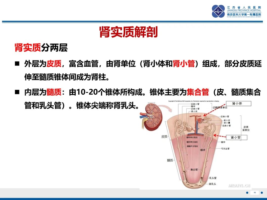 影像PPT - 【PPT】肾嫌色细胞癌-11