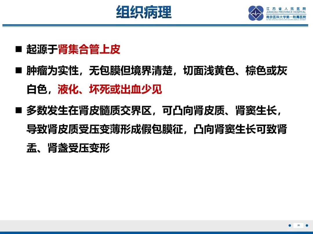 影像PPT - 【PPT】肾嫌色细胞癌-21