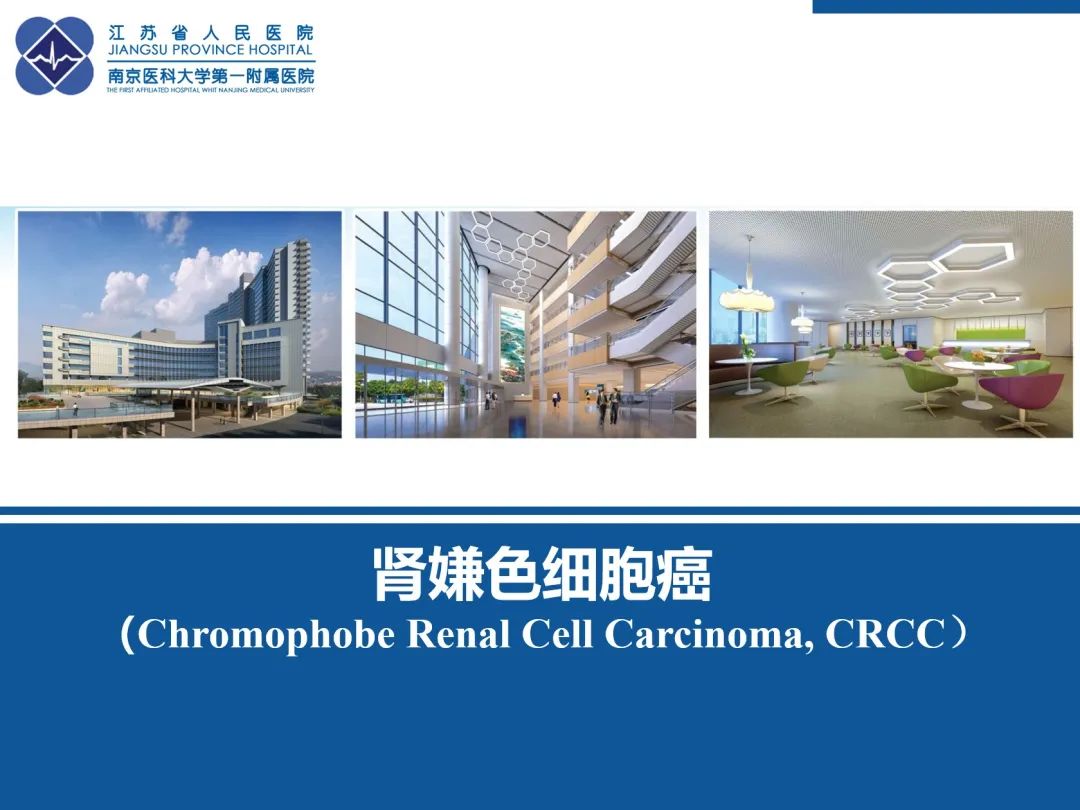 影像PPT - 【PPT】肾嫌色细胞癌-51
