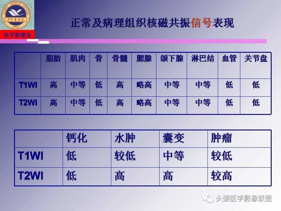 影像PPT - 【PPT】颌面部影像检查方法、正常表现及颌骨骨折影像表现-32