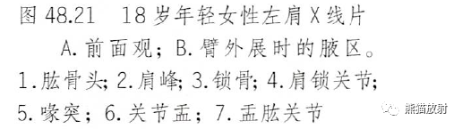 影像PPT - 肩及上肢解剖(上/前臂、手、肘/腕)-18 影像PPT - 肩及上肢解剖(上/前臂、手、肘/腕)-18