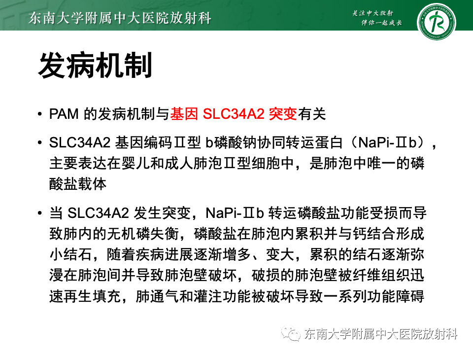 影像PPT - 【PPT】肺泡微石症-5