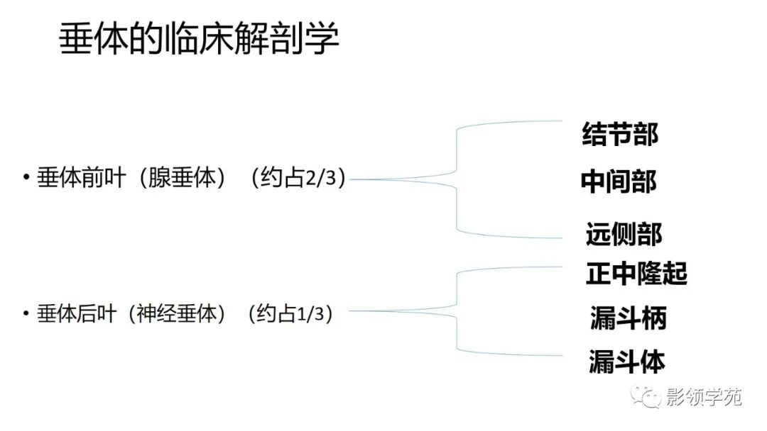 影像PPT - 【PPT】垂体解剖及常见病变影像学表现-4 影像PPT - 【PPT】垂体解剖及常见病变影像学表现-4