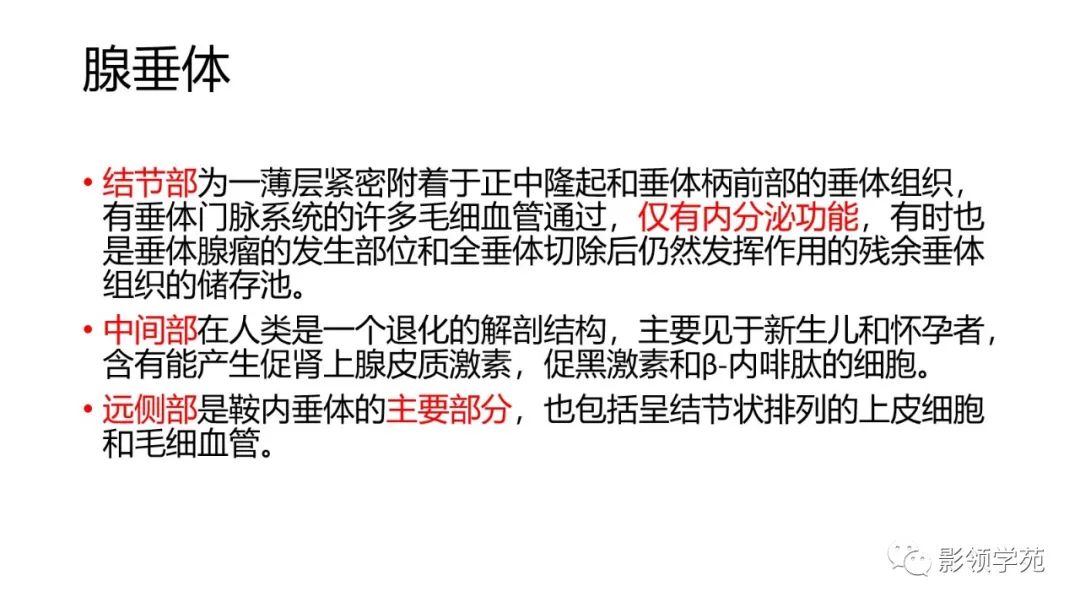 影像PPT - 【PPT】垂体解剖及常见病变影像学表现-6 影像PPT - 【PPT】垂体解剖及常见病变影像学表现-6