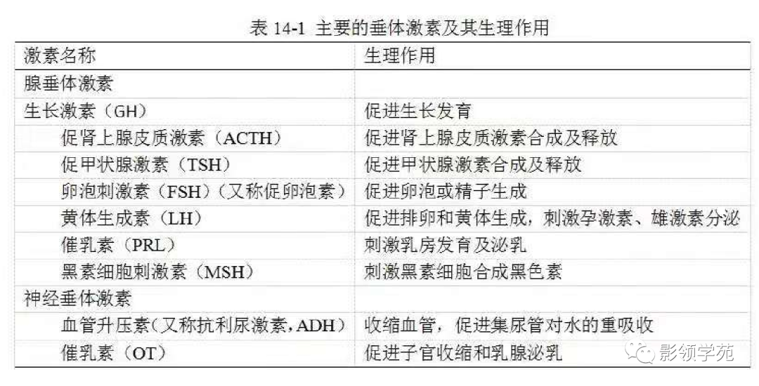 影像PPT - 【PPT】垂体解剖及常见病变影像学表现-9 影像PPT - 【PPT】垂体解剖及常见病变影像学表现-9