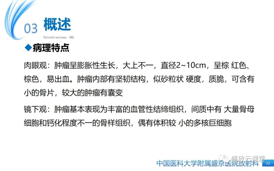 影像PPT - 【PPT】骨母细胞瘤-12