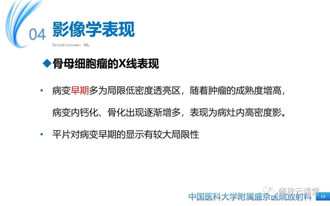影像PPT - 【PPT】骨母细胞瘤-14