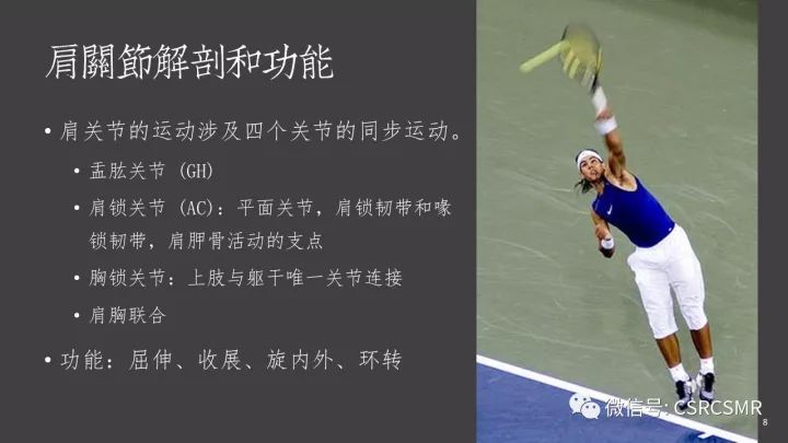 影像PPT - 【PPT】肩关节MRI的结构式评估-8