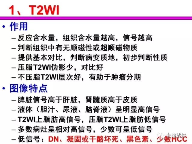影像PPT - 【PPT】腹部脏器影像解剖及CT、MRI读片原则-9