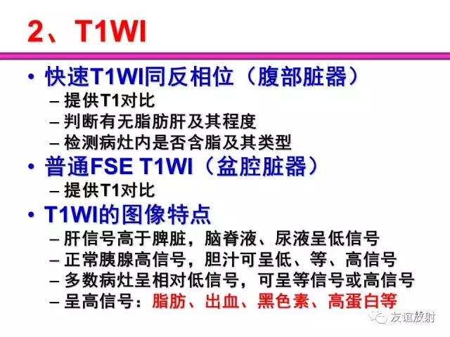 影像PPT - 【PPT】腹部脏器影像解剖及CT、MRI读片原则-13