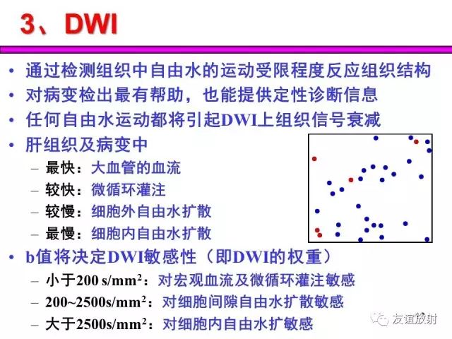 影像PPT - 【PPT】腹部脏器影像解剖及CT、MRI读片原则-18