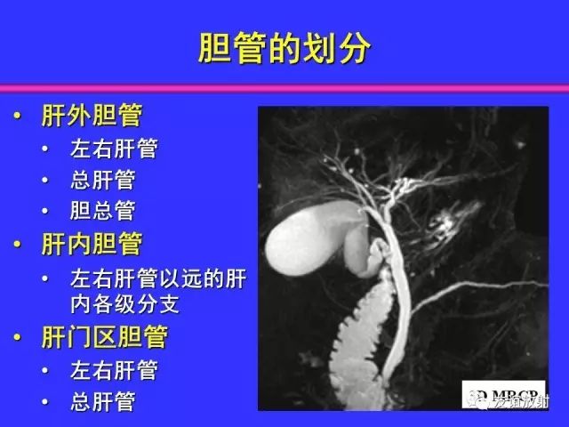 影像PPT - 【PPT】腹部脏器影像解剖及CT、MRI读片原则-78