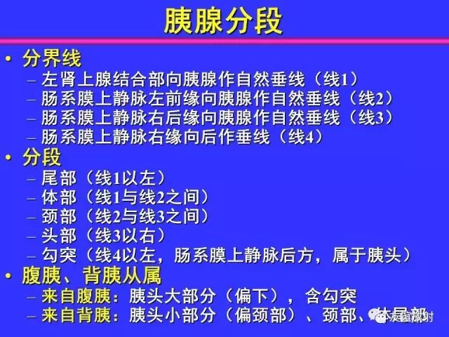 影像PPT - 【PPT】腹部脏器影像解剖及CT、MRI读片原则-83