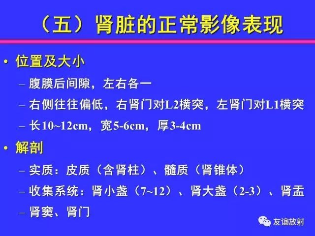 影像PPT - 【PPT】腹部脏器影像解剖及CT、MRI读片原则-90