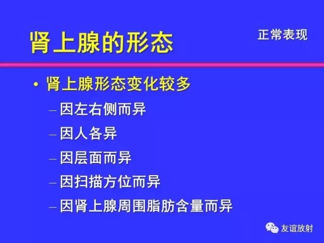 影像PPT - 【PPT】腹部脏器影像解剖及CT、MRI读片原则-101