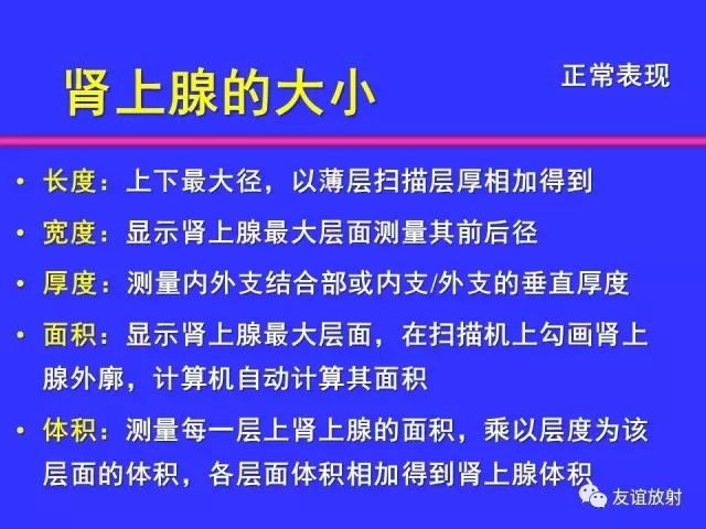 影像PPT - 【PPT】腹部脏器影像解剖及CT、MRI读片原则-110