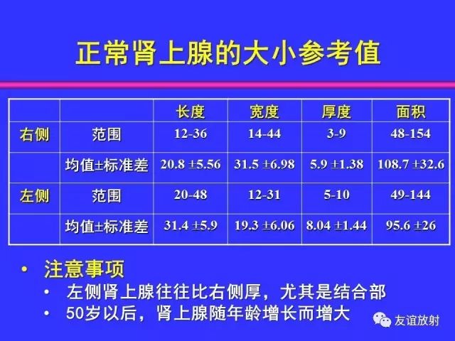 影像PPT - 【PPT】腹部脏器影像解剖及CT、MRI读片原则-113