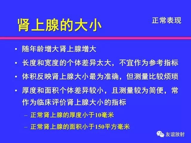 影像PPT - 【PPT】腹部脏器影像解剖及CT、MRI读片原则-112