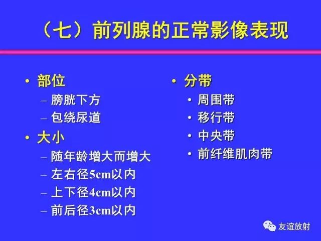 影像PPT - 【PPT】腹部脏器影像解剖及CT、MRI读片原则-114