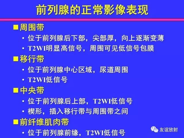 影像PPT - 【PPT】腹部脏器影像解剖及CT、MRI读片原则-116