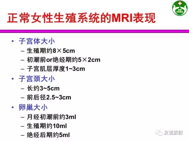 影像PPT - 【PPT】腹部脏器影像解剖及CT、MRI读片原则-126