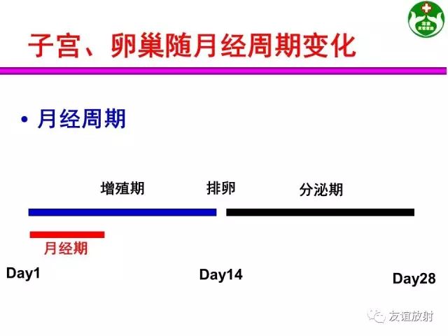 影像PPT - 【PPT】腹部脏器影像解剖及CT、MRI读片原则-134