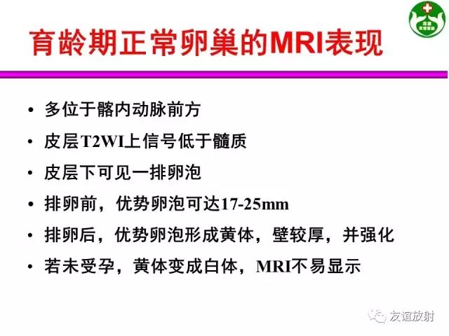 影像PPT - 【PPT】腹部脏器影像解剖及CT、MRI读片原则-132