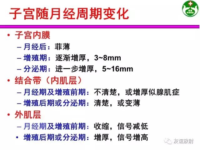 影像PPT - 【PPT】腹部脏器影像解剖及CT、MRI读片原则-135