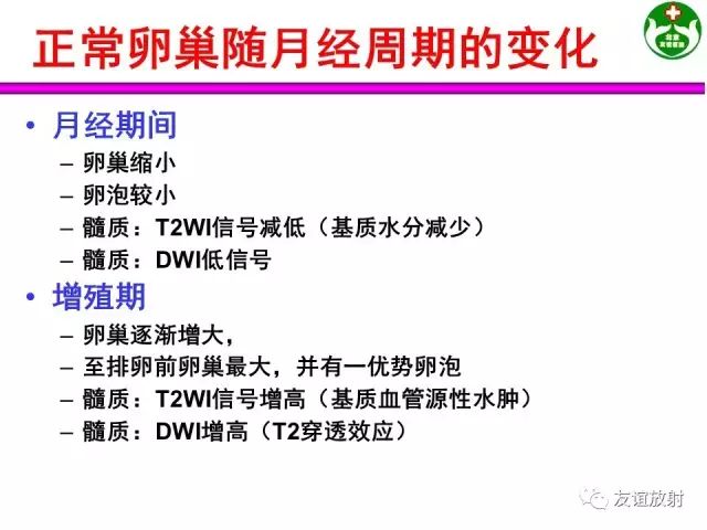 影像PPT - 【PPT】腹部脏器影像解剖及CT、MRI读片原则-142