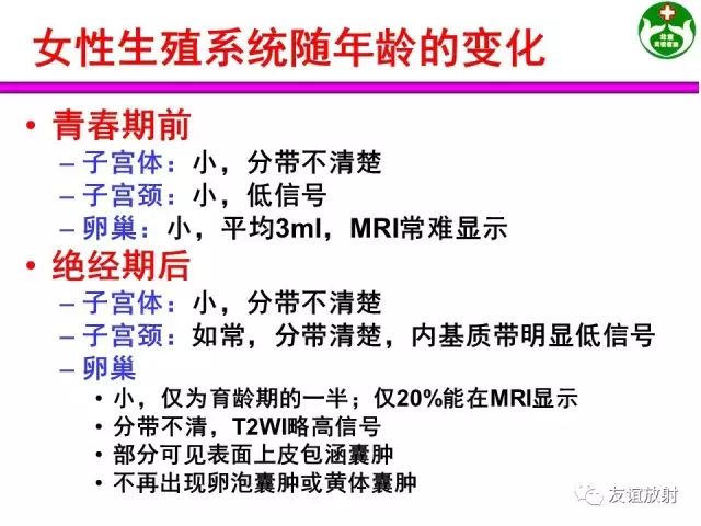 影像PPT - 【PPT】腹部脏器影像解剖及CT、MRI读片原则-138