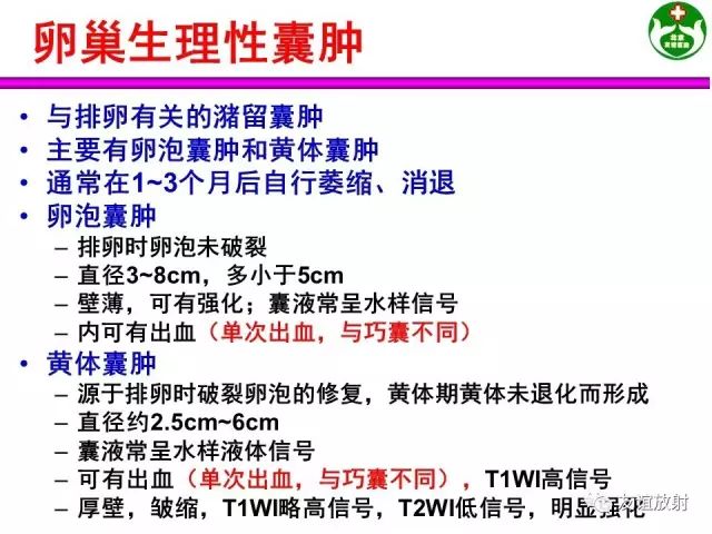 影像PPT - 【PPT】腹部脏器影像解剖及CT、MRI读片原则-144