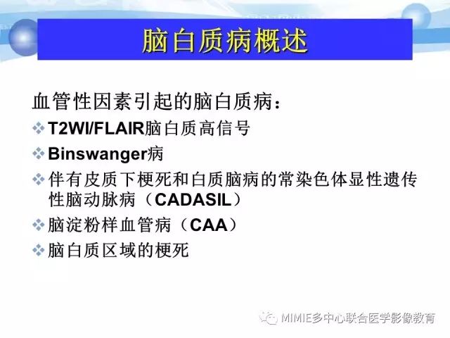 影像PPT - 【PPT】非血管因素弥漫性脑白质病的MRI鉴别诊断-3