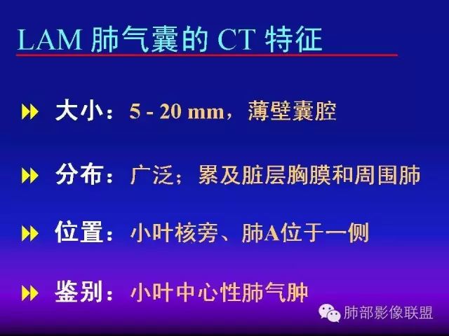 影像PPT - 【PPT 】弥漫性低密度肺疾病-76