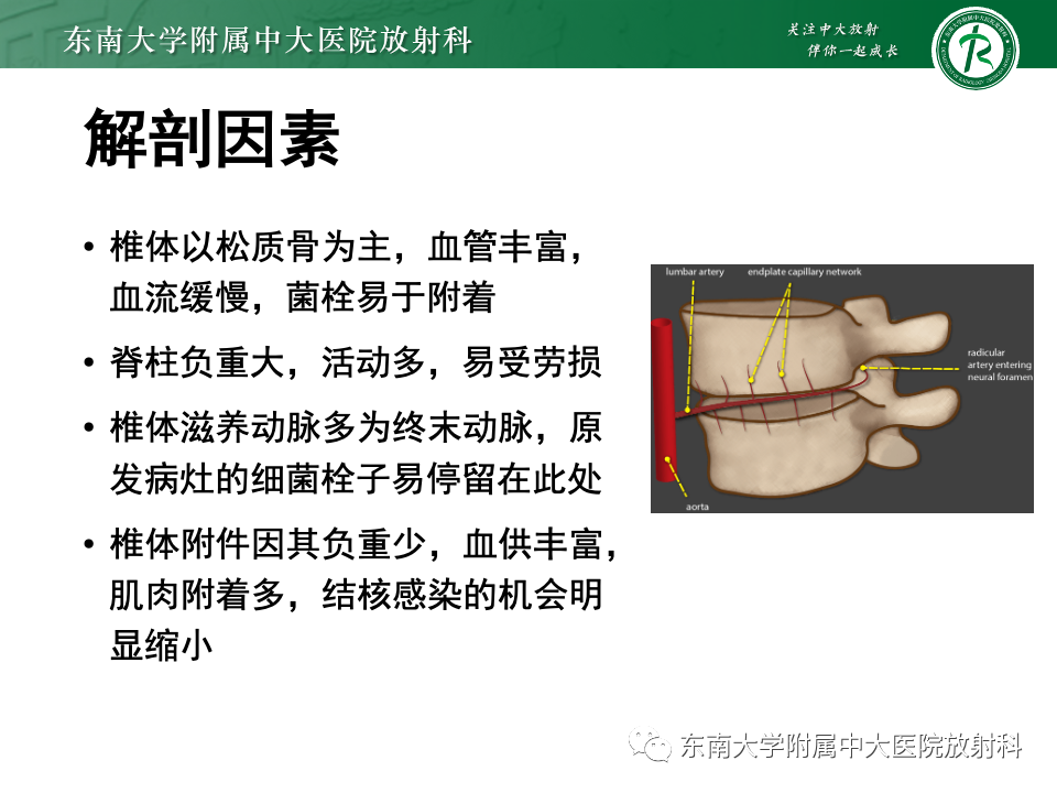 影像PPT - 【PPT】脊柱结核的影像诊断-10 影像PPT - 【PPT】脊柱结核的影像诊断-10