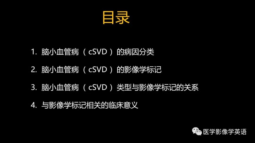 影像PPT - 【PPT】脑小血管病： 放射科医生须知-6