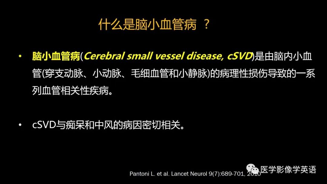 影像PPT - 【PPT】脑小血管病： 放射科医生须知-4