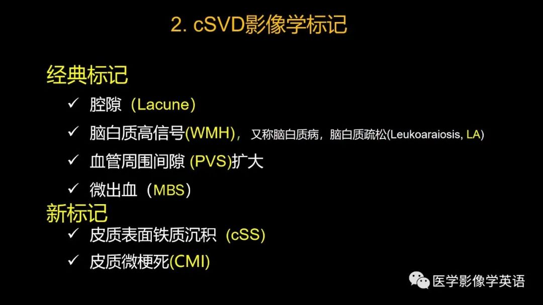 影像PPT - 【PPT】脑小血管病： 放射科医生须知-10