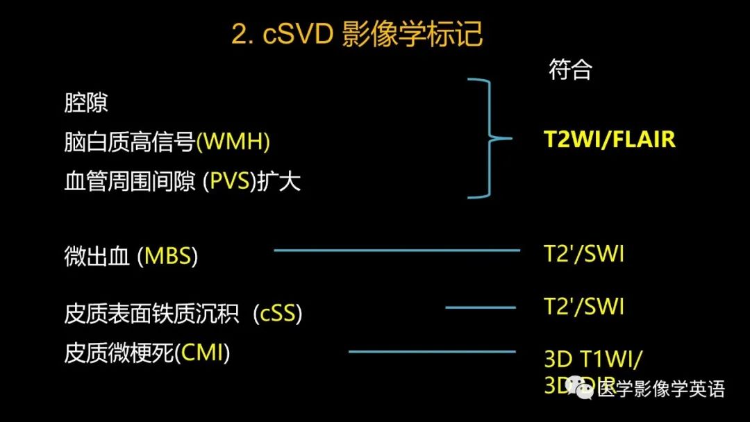影像PPT - 【PPT】脑小血管病： 放射科医生须知-12